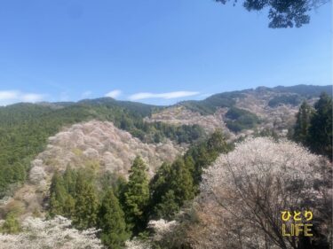 吉野山の桜を見に行ってきた!徒歩で観光したら混雑回避できた